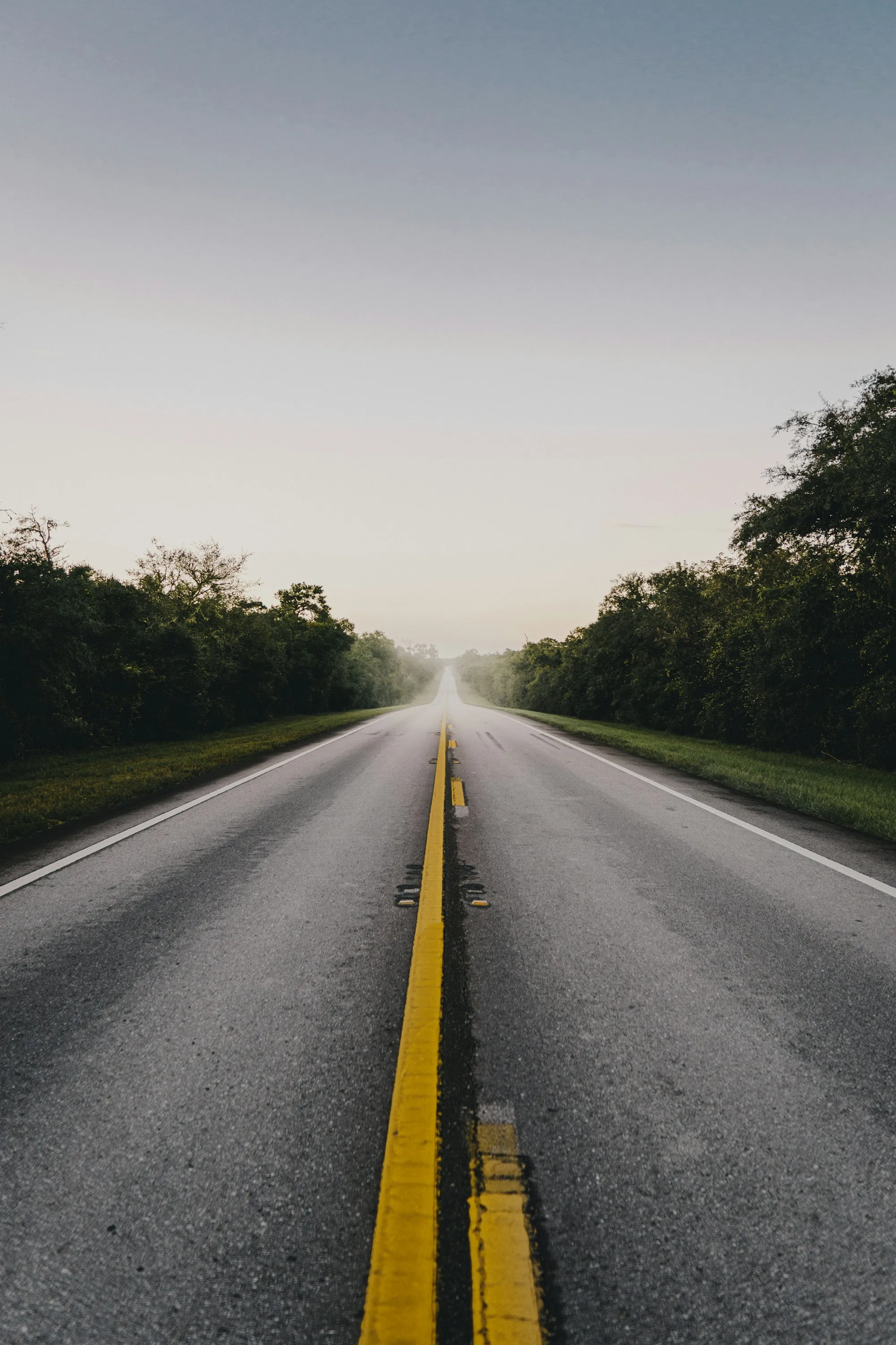 Two-lane Florida highway stretching between rows of green trees at dawn