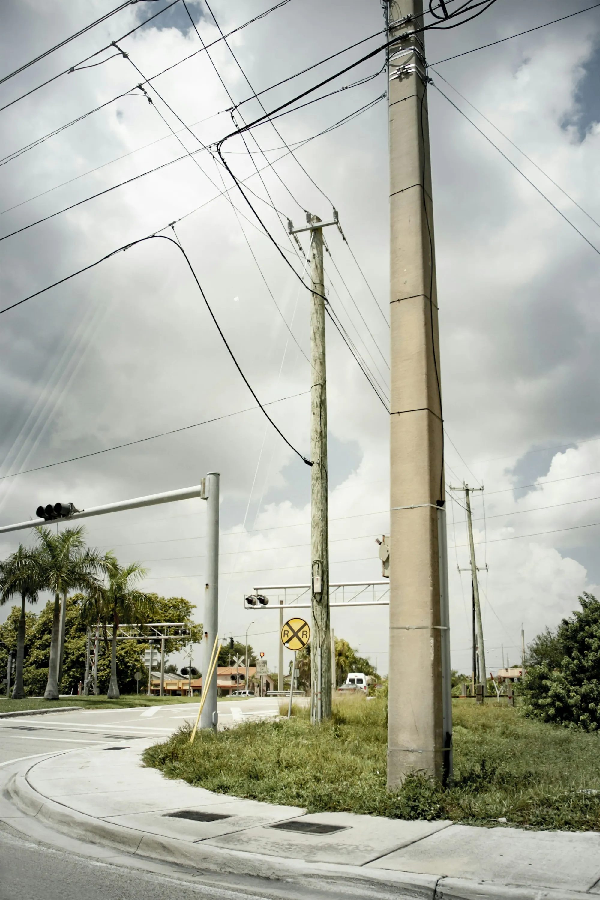 Palm trees and traffic signals beside a Florida roadway under a cloudy sky