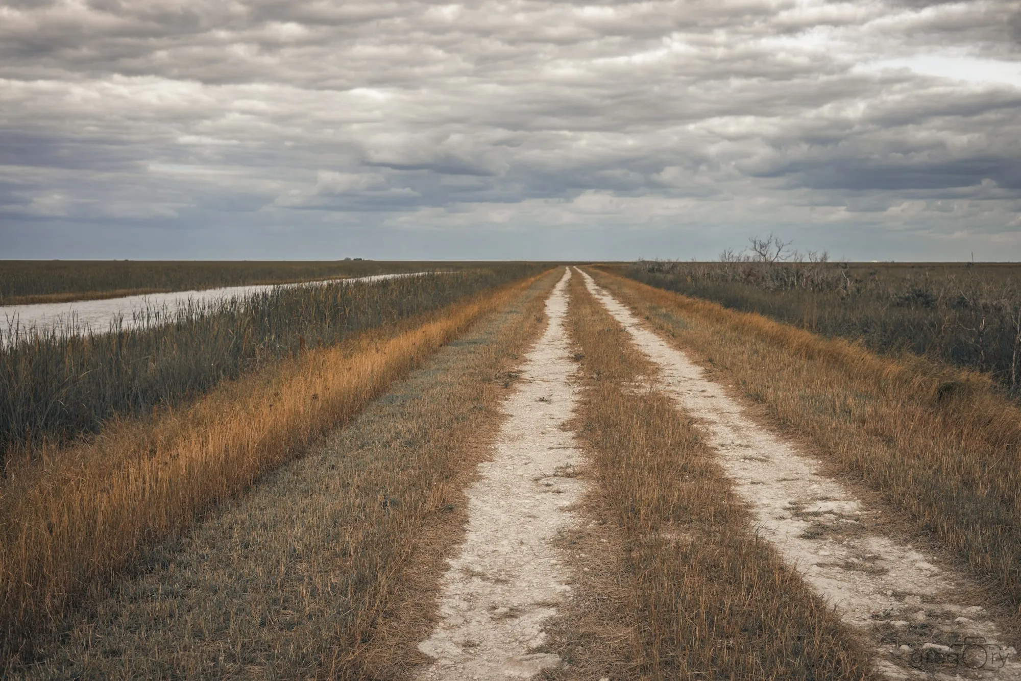 Sandy two-track road running through dry grassland toward a distant horizon